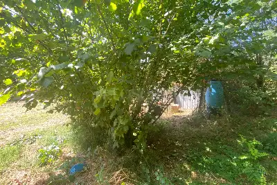 Agricolo in vendita, Via Verginia Tonelli, Roma