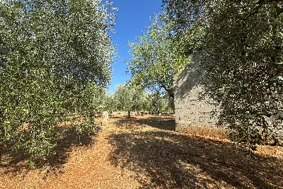 Villa in vendita, contrada Santa Caterina Grottone, Ostuni