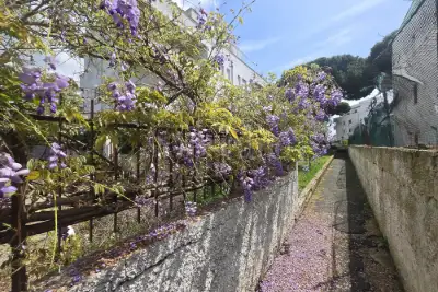 Casa in vendita, Via Aurelio Saffi, Santa Marinella