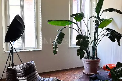 Casa in vendita, Via Castelmaraldo, Modena