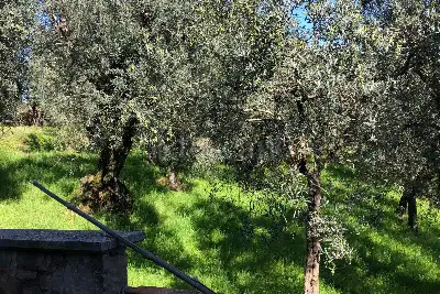 Villa in vendita, Via di Capalle, Lamporecchio