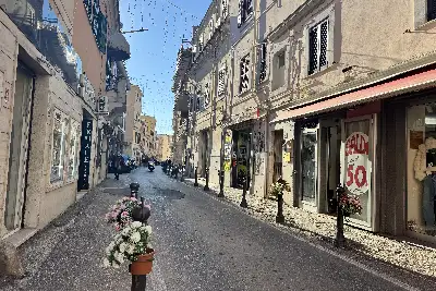 Attività Commerciale in vendita, Via Romana, Nettuno