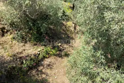 Villa in vendita, Cda Montagnoli Belmonte Mezzagno, Belmonte Mezzagno
