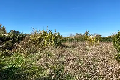 Agricolo in vendita, Via della storta, Roma
