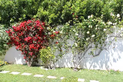 Villa Bifamiliare in vendita, Via Guglielmo Zuelli, Roma