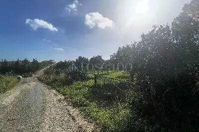 Agricolo in vendita, Via Martognella, Valderice
