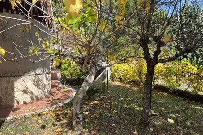 Villa in vendita, Via Regina Bianca di Navarra, Nicolosi