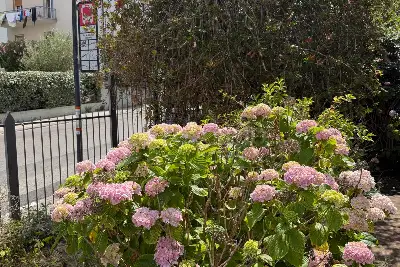 Casa Indipendente in vendita, Via Michele Abozzi 13, Sassari