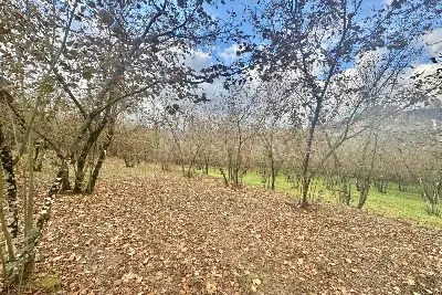 Agricolo in vendita, Via Belle Donne, Cesinali