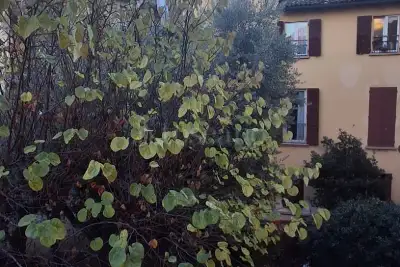 Casa in affitto, Via Fondazza, Bologna