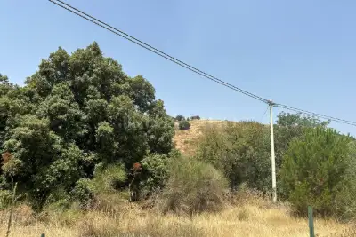 Agricolo in vendita, Via Mompilieri, Nicolosi