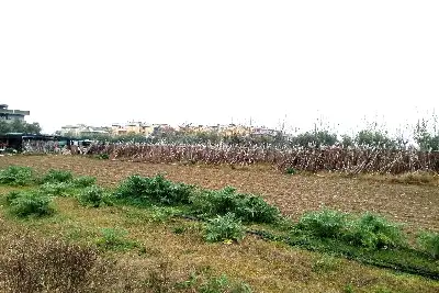 Agricolo in vendita, Via G. Donizetti, Martinsicuro