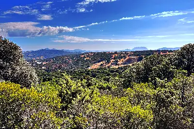 Agricolo in vendita, Telti via Monti Longu., Telti