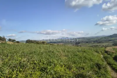Agricolo in vendita, Contrada Martognella, Valderice