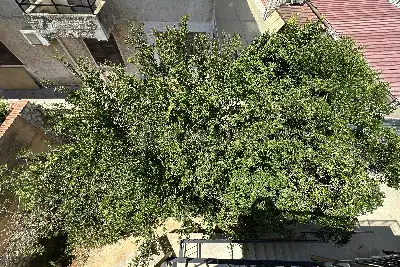 Villa in vendita, Via Cesare Beccaria, Palermo