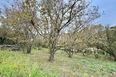 Edificabile Residenziali in vendita, Strada Provinciale 185 , Montefredane, Montefredane