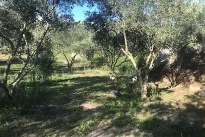 Agricolo in vendita, Via San Cosimo, Messina
