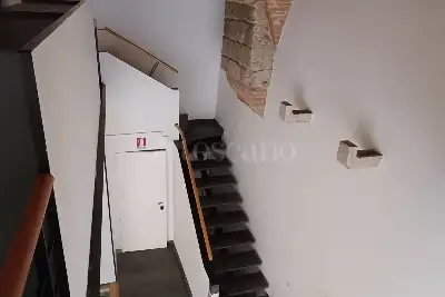 Negozio in affitto, via camollia, Siena