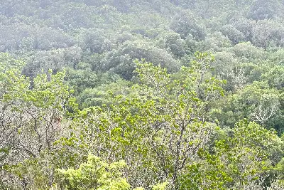 Agricolo in vendita, Loc. Caldosu, Sant'Antonio di Gallura