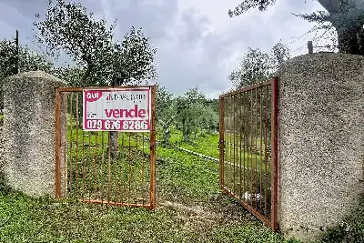 Agricolo in vendita, Strada Vicinale Taniga Baldella, Sennori