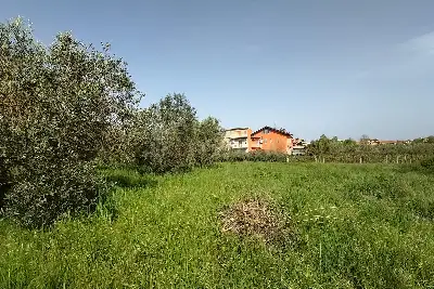Agricolo in vendita, Terreno Zona Finocchio, Roma
