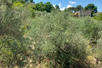 Villa in vendita, Cda Montagnoli Belmonte Mezzagno, Belmonte Mezzagno