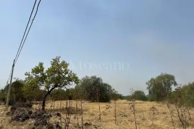 Agricolo in vendita, Via Mompilieri, Nicolosi