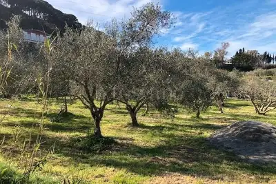 Agricolo in vendita, Via San Cosimo, Messina