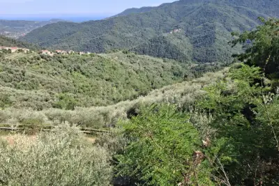 Casa Indipendente in vendita, Frazione di Stellanello, Stellanello