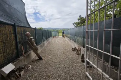 Laboratorio in vendita, Località la Macchia, Sovicille