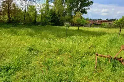 Casa Indipendente in vendita, Castelnuovo Berardenga, Castelnuovo Berardenga