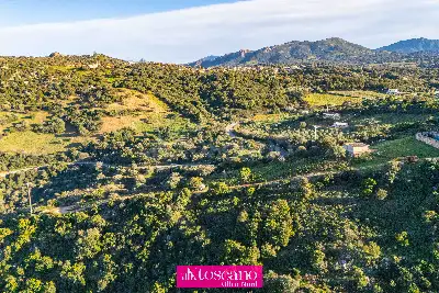 Agricolo in vendita, SP 79, Olbia, Olbia