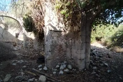 Agricolo in vendita, Noto, Noto