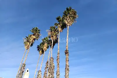 Villa in vendita, Via San Giovanni Bosco, Siracusa