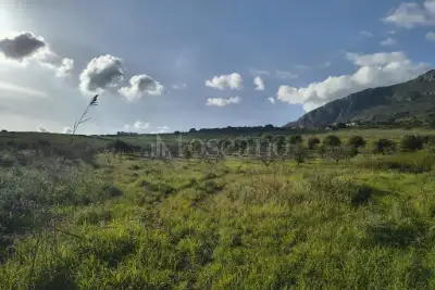 Agricolo in vendita, Contrada Martognella, Valderice