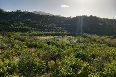Agricolo in vendita, Comunale Eleuterio, Bagheria