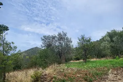 Agricolo in vendita, Località Vignole, San Mauro Cilento