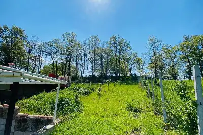 Agricolo in vendita, Via delle foreste, Manocalzati, Manocalzati