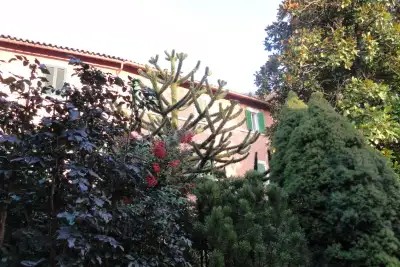 Casa Indipendente in vendita, Via Cerenaro, Rieti