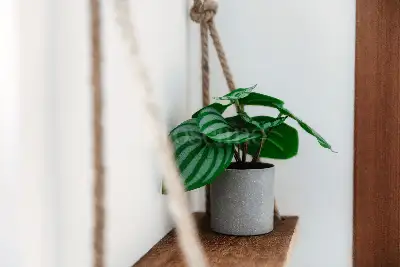 Casa in affitto, Piazza Roma, Como