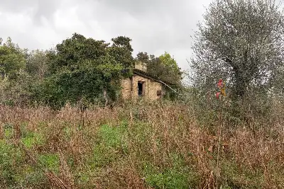 Casa Indipendente in vendita, Via Casorzo, Roma
