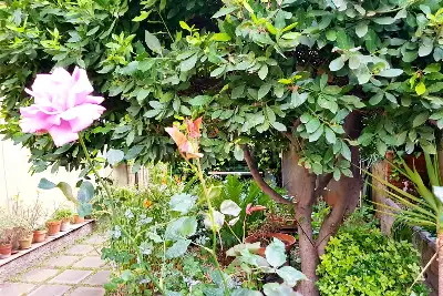 Casa in vendita, Via Serve della Divina Provvidenza, Catania