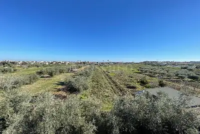 Villa Bifamiliare in vendita, Via Roma, Martinsicuro