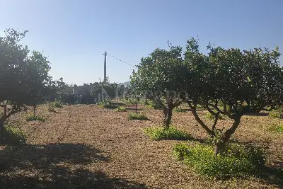 Agricolo in vendita, Via Emanuela, Erice