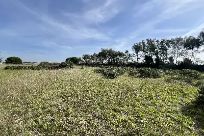 Edificabile Residenziali in vendita, Via Consorzio Focense, Fiumicino