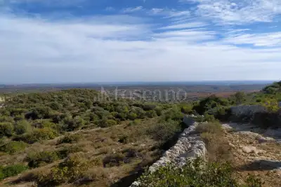 Agricolo in vendita, Noto, Noto