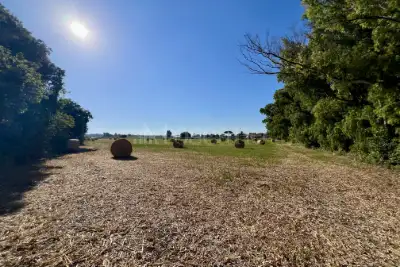 Agricolo in vendita, Viale delle Pagliete, Fiumicino