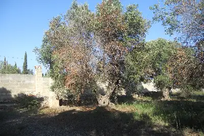 Edificabile Residenziali in vendita, Via Scalelle, Gallipoli