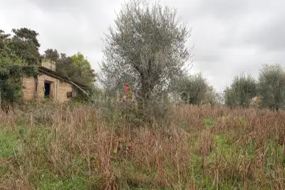 Casa Indipendente in vendita, Via Casorzo, Roma