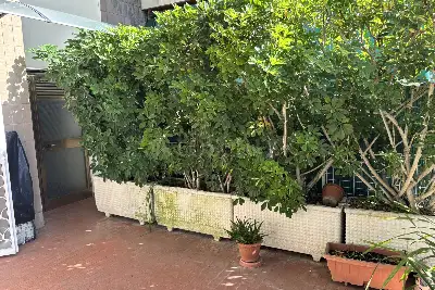 Casa in vendita, Via Pianoro, Roma